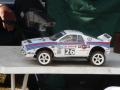 RC rally