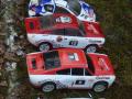 RC rally