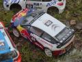 RC rally