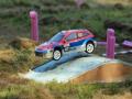 RC rally