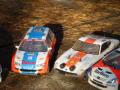 RC rally