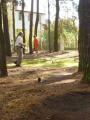 RC rally