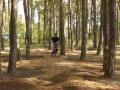 RC rally