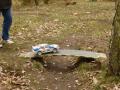 RC rally