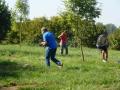 RC rally