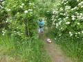 RC rally