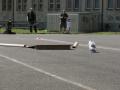 rallycross
