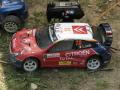 RC Rally