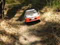 RC rally