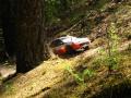 RC rally