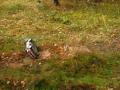 RC Rally