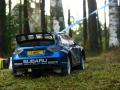 RC Rally