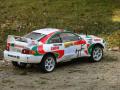 RC Rally