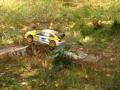 RC Rally