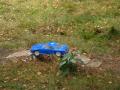 RC Rally