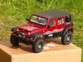 RC rally