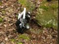 RC Truck Trial