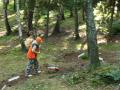 RC rally