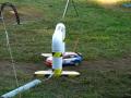 RC rally