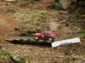 RC rally