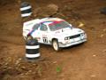 RC rally