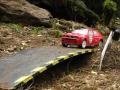RC rally
