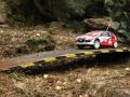 RC rally