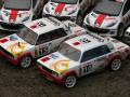 RC rally